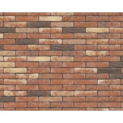 Brique de parement T16 - NELISSEN | Foxbow